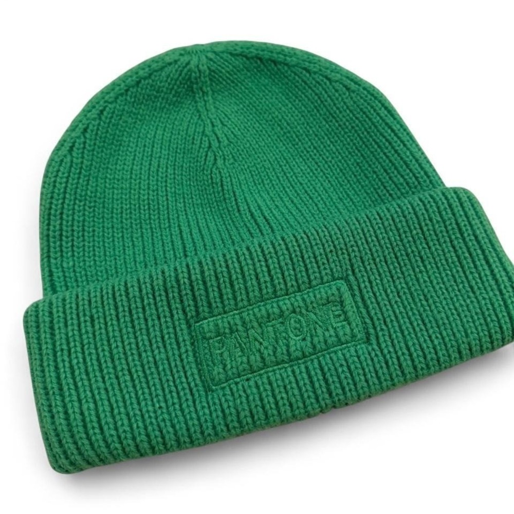 Penone Green Ribbed Knit Cuffed Beanie